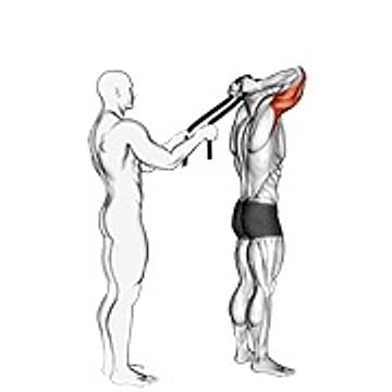 Assisted Standing Triceps Extension (With Towel)