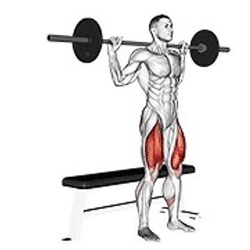 Barbell Bench Squat