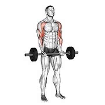 Barbell Drag Curl