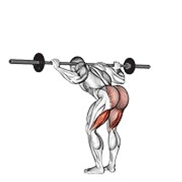 Barbell Good Morning