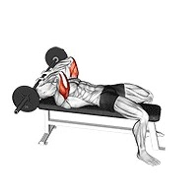 Barbell Lying Triceps Extension Skull Crusher