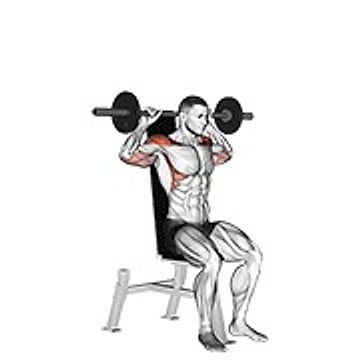Barbell Seated Bradford Rocky Press