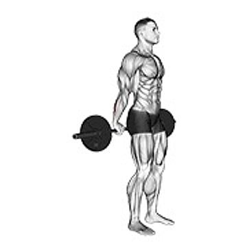 Barbell Standing Back Wrist Curl
