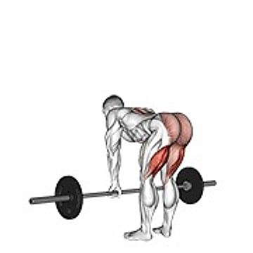 Barbell Straight Leg Deadlift