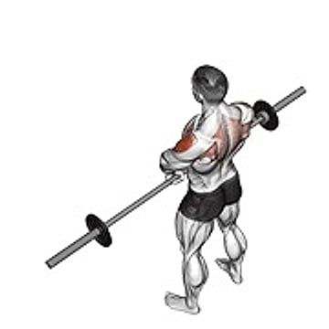 Barbell Upright Row V. 2