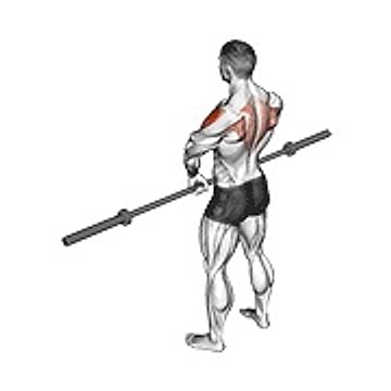 Barbell Upright Row V. 3