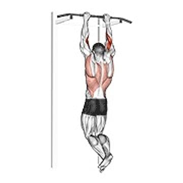 Biceps Pull Up