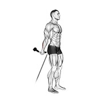 Cable Standing Back Wrist Curl