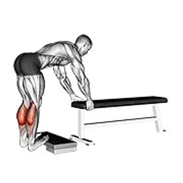 Donkey Calf Raise