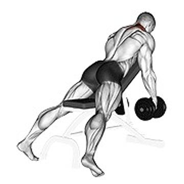 Dumbbell Decline Shrug V. 2