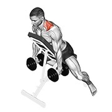 Dumbbell Decline Shrug