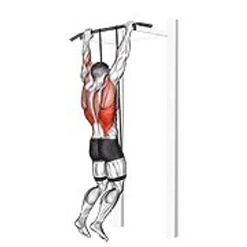 Band Assisted Pull Up