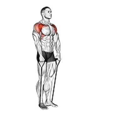 Band Front Raise