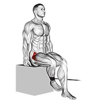 Band Seated Hip Internal Rotation