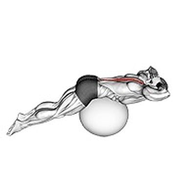 Back Extension On Exercise Ball