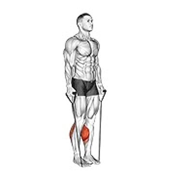 Band Two Legs Calf Raise   (Band Under Both Legs) V. 2
