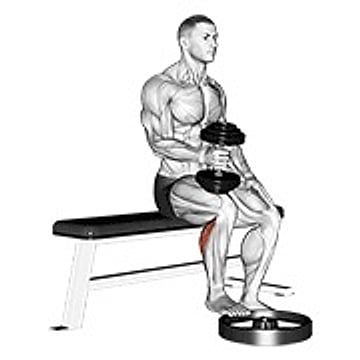 Dumbbell Seated One Leg Calf Raise   Hammer Grip
