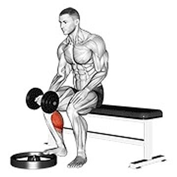 Dumbbell Seated One Leg Calf Raise   Palm Up
