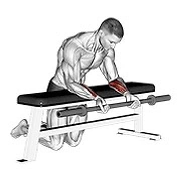 Barbell Palms Up Wrist Curl Over A Bench
