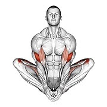 Butterfly Yoga Pose