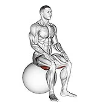 Exercise Ball Seated Hamstring Stretch