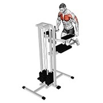 Assisted Wide Grip Chest Dip (Kneeling)
