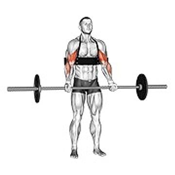 Barbell Biceps Curl (With Arm Blaster)