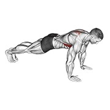 Scapula Push Up